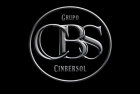 http://www.grupocinbersol.com/